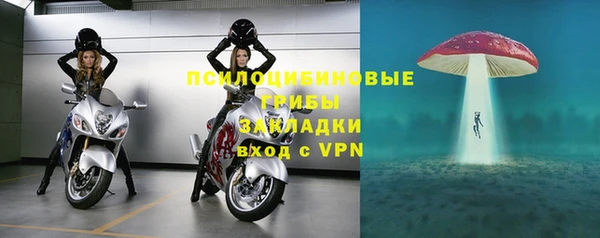 тгк Алзамай