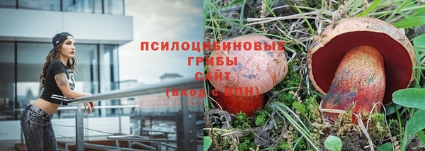 ALPHA PVP Арсеньев