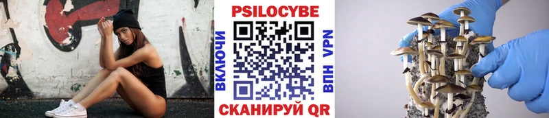Купить  Сысерть  Псилоцибиновые грибы мухоморы 